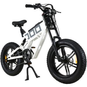 P4B - Fatbike - Elektrische Fatbike - Elektrische Fiets - Elektrische Mountainbike - E bike - Wit - 1 jaar garantie - Legaal openbare weg