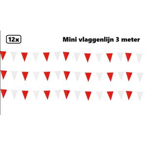 12x Mini vlaggenlijn rood/wit 3 meter - 10cm x 15cm - Festival thema feest party verjaardag gala vlag lijn