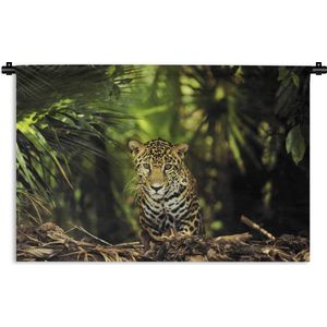 Wandkleed Junglebewoners - Jonge jaguar in de jungle Wandkleed katoen 180x120 cm - Wandtapijt met foto XXL / Groot formaat!