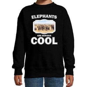 Dieren kudde olifanten sweater zwart kinderen - elephants are serious cool trui - cadeau olifant/ olifanten liefhebber - kinderkleding / kleding 110/116