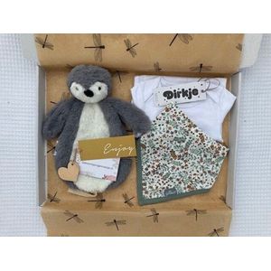Geboortejongenmeisje.nl - Klein brievenbusgeschenk - Cadeaupakket baby | Meisje | Geboorte | Kraamcadeau | Relatiegeschenk