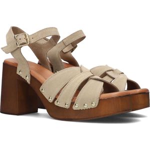 Notre-V 8509 Sandalen - Dames - Taupe - Maat 36