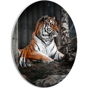 WallClassics - PVC Schuimplaat Ovaal - Tijger zittend op de Grond in Bos - 21x28 cm Foto op Ovaal (Met Ophangsysteem)