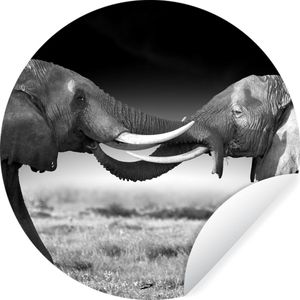 WallCircle - Behangcirkel - Zelfklevend behang - Wilde dieren - Olifanten - Zwart - Wit - Behangcirkel zelfklevend - ⌀ 30 cm - Behang cirkel - Behangcirkel dieren