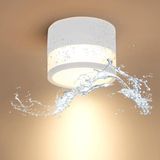 Plafondlamp Opbouw IP65 12W 3000K Warm Wit LED Ø10cm Aluminium Badkamer-oplossing