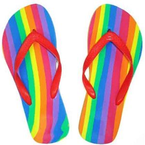 Flip-flops with LGBT + Flag Size 40-41