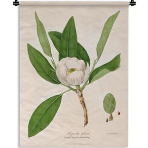 Wandkleed Vintage Bloemen - Vintage illustratie van een magnolia Wandkleed katoen 120x160 cm - Wandtapijt met foto XXL / Groot formaat!