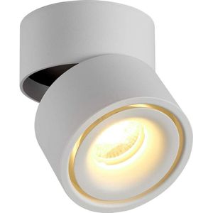 10W LED Spotjes Zwenkbaar - Plafondverlichting voor Slaapkamers en Keukens - Metaal Draaibaar - Wit/Warmwit