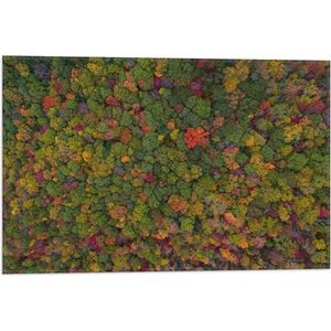 WallClassics - Vlag - Rood Groen en Gele Bomen in het Bos vanuit de Lucht - 60x40 cm Foto op Polyester Vlag