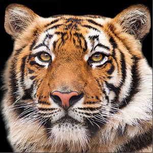 1 Pakje papieren lunch servetten - Bengal tiger