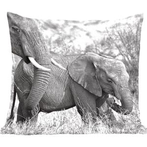 Sierkussens - Kussentjes Woonkamer - 60x60 cm - Olifant - Dieren - Gras - Zwart wit