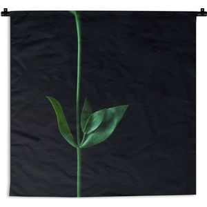 Wandkleed Planten op een zwarte achtergrond - Een groene stengel met twee bladeren tegen een zwarte achtergrond Wandkleed katoen 120x120 cm - Wandtapijt met foto