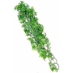 ZooMed - naturalistic flora - cannabis - medium - terrariumplant