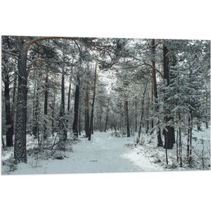 WallClassics - Vlag - Winter Bos - 90x60 cm Foto op Polyester Vlag