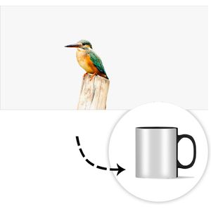 Magische Mok - Foto op Warmte Mokken - Koffiemok - IJsvogel - Veren - Paal - Magic Mok - Beker - 350 ML - Theemok