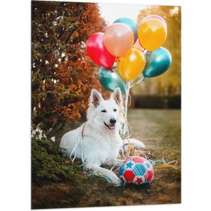 WallClassics - Vlag - Liggende Hond met Bal en Ballonnen - 70x105 cm Foto op Polyester Vlag