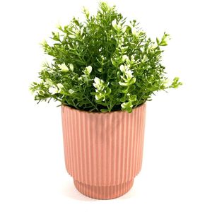 Lucy’s Living Luxe Bloempot STRIPE roze – ø 14 x 14 cm - binnen – buiten – luxe – accessoires – tuin – decoratie – bloemen - aardewerk - planten - plantenhouder