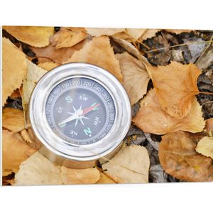 WallClassics - PVC Schuimplaat- Traditioneel Kompas op Stapel Herfstbladeren - 80x60 cm Foto op PVC Schuimplaat