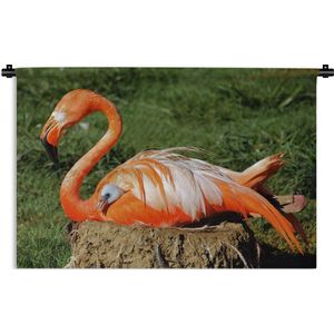 Wandkleed Flamingo  - Flamingo die haar kuiken onder haar vleugel beschermd Wandkleed katoen 150x100 cm - Wandtapijt met foto