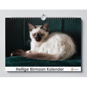 Heilige Birmaan | 35 X 24CM | Verjaardagskalender katten soort de Heilige Birmaan | Verjaardagskalender Volwassenen