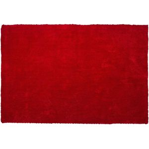 DEMRE - Shaggy vloerkleed - Rood - 160 x 230 cm - Polyester