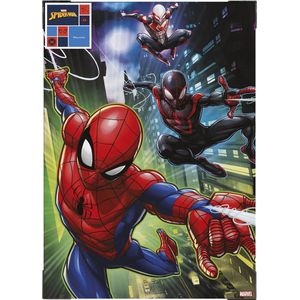 Disney | Marvel Spiderman and friends - Canvas - 50x70cm
