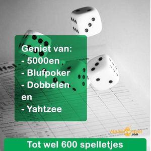 Yahtzee scoreblok set met Dobbelstenen – Gezelschapsspel voor volwassenen en kinderen – Speel tot 600 dobbelspellen