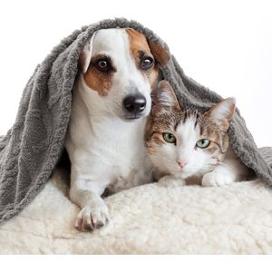 Hond Deken 100x120 cm Pluizige Fleece Stof Zachte en Leuke Warme Bed Cover Deken Gooi Wasbare Slaap Mat voor Honden Katten Cavia Anaimals Groot Lichtgrijs