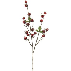 Fleurdirect Kunstbloem Rosehip Spray - Polyester - Bordeaux/Rood - 21 x 78 x 0 cm (BxHxD)