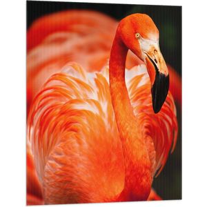 WallClassics - Vlag - Rode Flamingo - 75x100 cm Foto op Polyester Vlag