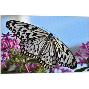 WallClassics - Vlag - Zwart met Witte Vlinder op Roze Bloemen - 75x50 cm Foto op Polyester Vlag