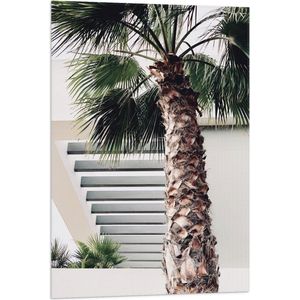 WallClassics - Vlag - Palmboom voor Wit Gebouw - 60x90 cm Foto op Polyester Vlag