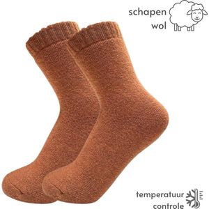 Warme Thermo Sokken dames maat 36-40 - Bruin - Wintersokken/Thermosokken