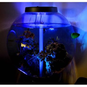 Aqua Mood waterdichte onderwater verlichting voor aquarium, bad, jacuzzi en of bloemen vaas. Aurela