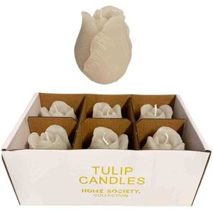 Home Society Tulp Kaars Doos 6 stuks Greige