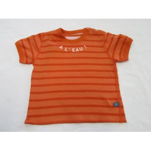 petit bateau , jongens , t-shirt korte mouw , streepje orange , 12 maand 74