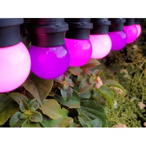 HappyLights lichtsnoer buiten [Outdoor] Purple Passion - 50 LED's - 25m