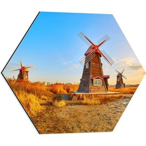 WallClassics - Dibond Hexagon - Prachtige Klassieke Molens in Droog Landschap - 50x43.5 cm Foto op Hexagon (Met Ophangsysteem)