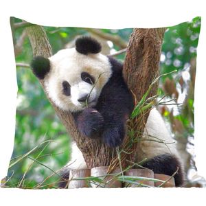 Sierkussen Panda voor binnen - Panda puppy - 50x50 cm - vierkant binnenkussen van katoen