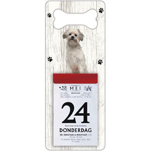 Scheurkalender 2024 Hond: Leeuwhondje