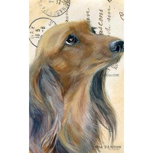 Dubbele kaart Hond Teckel langharig 11,5x17,5cm