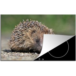 KitchenYeah® Inductie beschermer 78x52 cm - Egel op grind - Kookplaataccessoires - Afdekplaat voor kookplaat - Inductiebeschermer - Inductiemat - Inductieplaat mat