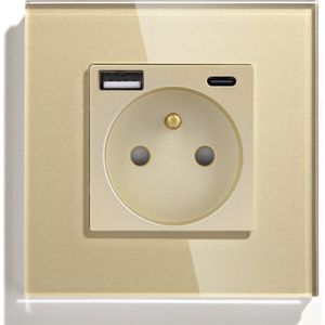 SmartinHuis - Standaard - Enkelvoudig stopcontact met USB A + C - Penaarde - Goud