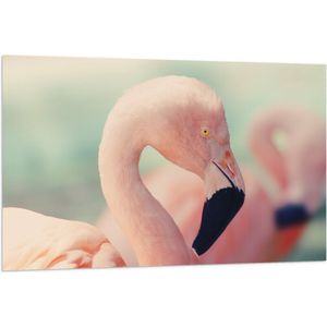 WallClassics - Vlag - Hoofd van een Roze Flamingo - 120x80 cm Foto op Polyester Vlag