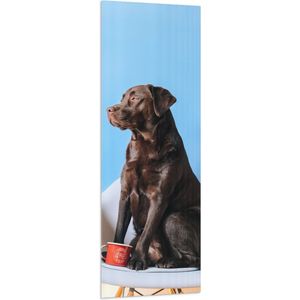 WallClassics - Vlag - Grote Hond Zittend op Stoel met Kop Koffie - 50x150 cm Foto op Polyester Vlag