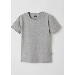 Woody Jongens T-shirt Korte Mouw Grijs 10A