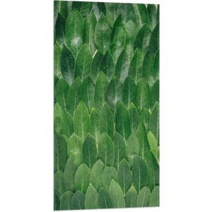 WallClassics - Vlag - Groene Blaadjes - 50x100 cm Foto op Polyester Vlag