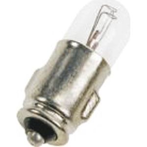 Talamex Instrument Lampje 12v-5w Ba9s
