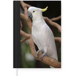 Notitieboek - Schrijfboek - Witte kaketoe met een gele kuif in een boom - Notitieboekje klein - A5 formaat - Schrijfblok