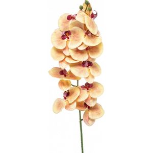 Fleurdirect Kunstbloem Phalaenopsis - Kunststof - Geel/Roze - 0 x 100 x 0 cm (BxHxD)